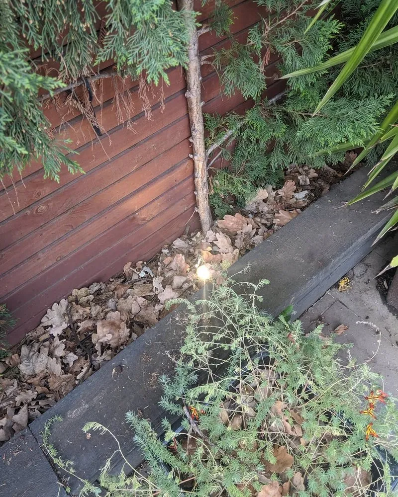 Slide of Elmhurst Electricians Co