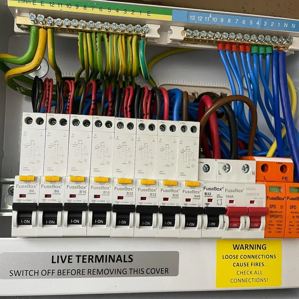 Slide of Elvis Electrical