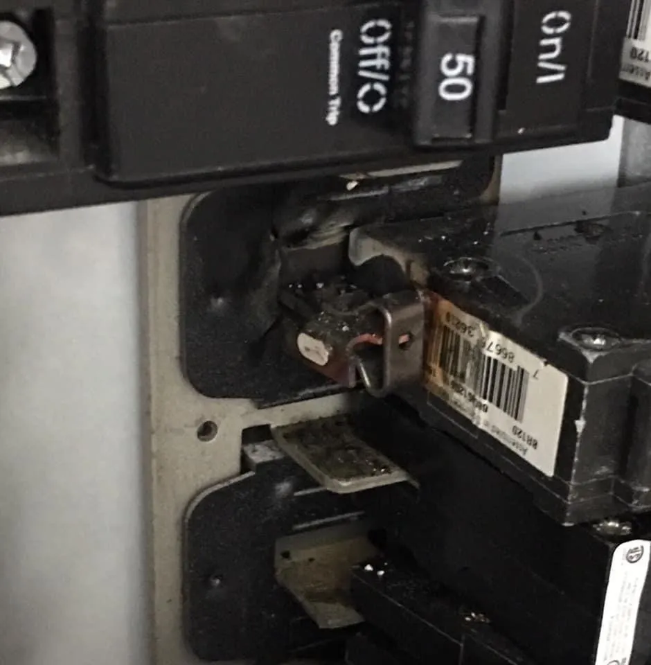 Slide of EM Caterpillar