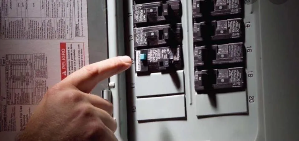 Slide of EM Caterpillar