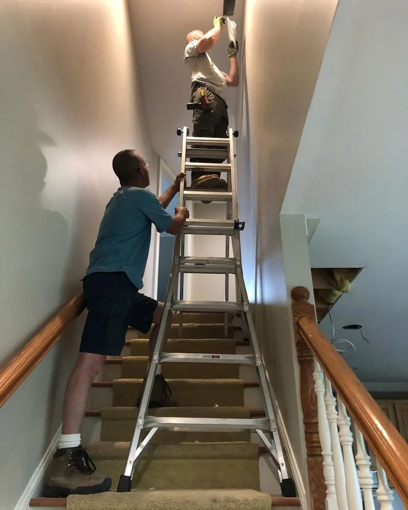 Expert panel upgrade service in , - Embark Project Services