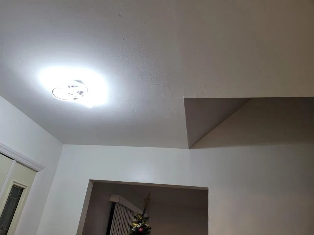 Slide of Emerald Horns Electric