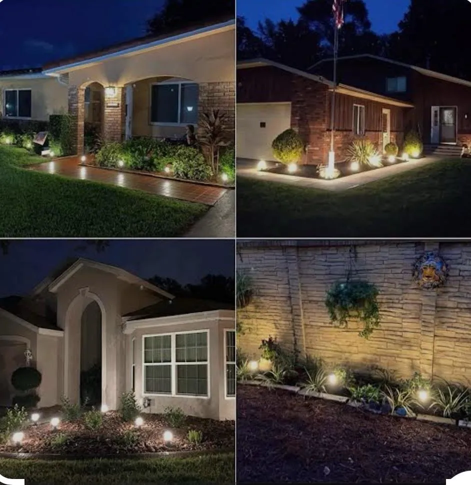 Slide of Emperor General Electric