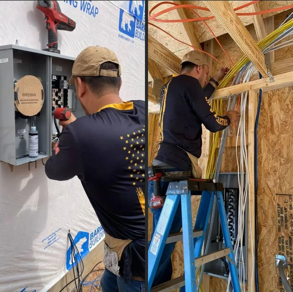 Slide of Enamorado’s Painting