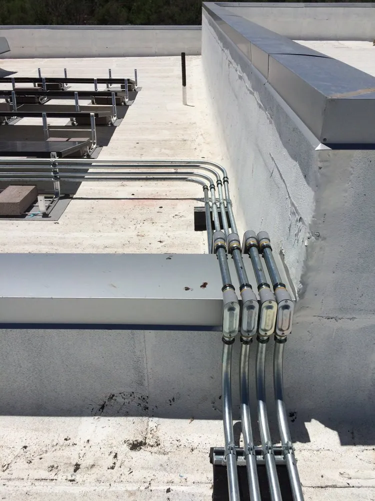 Slide of Enchanted Electric