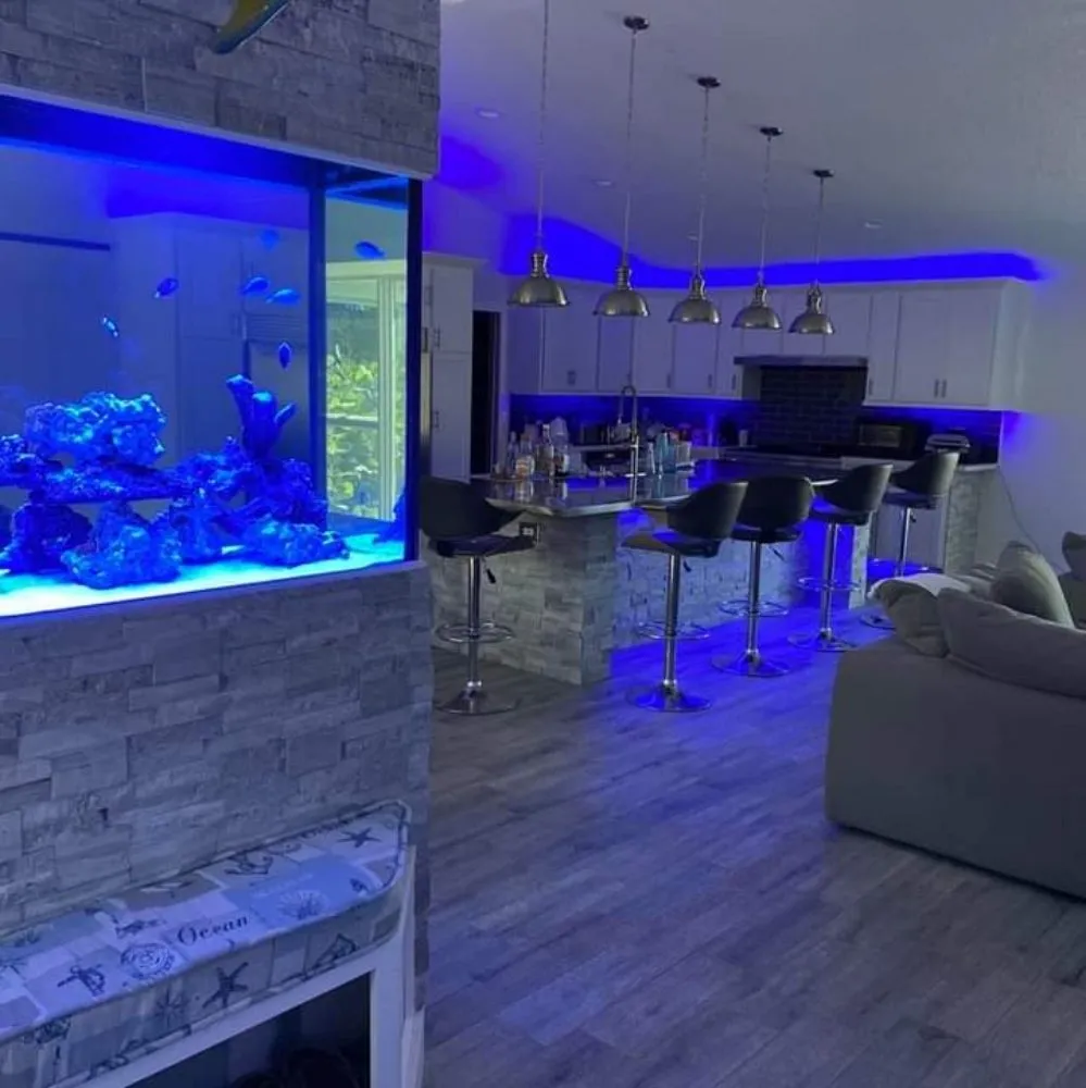 Slide of Energized Electric and Home Improvement