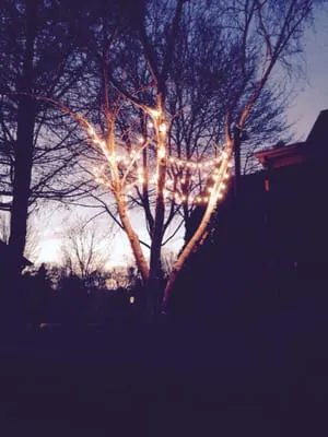 Enlighten Electric Company