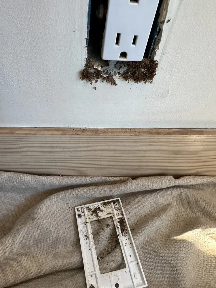 Slide of Enlightened Electric