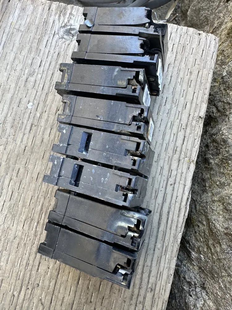 Slide of Enlightened Electric