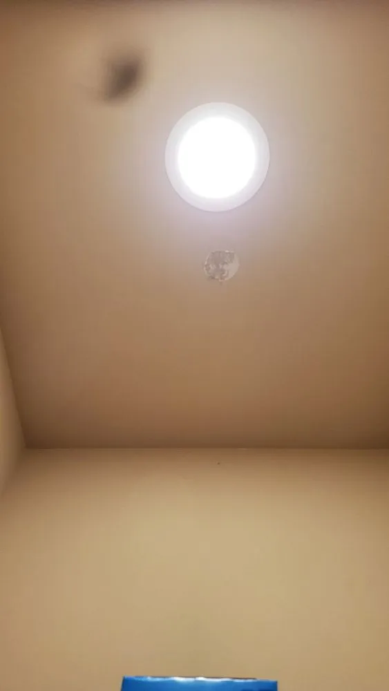 Slide of Enrique Light