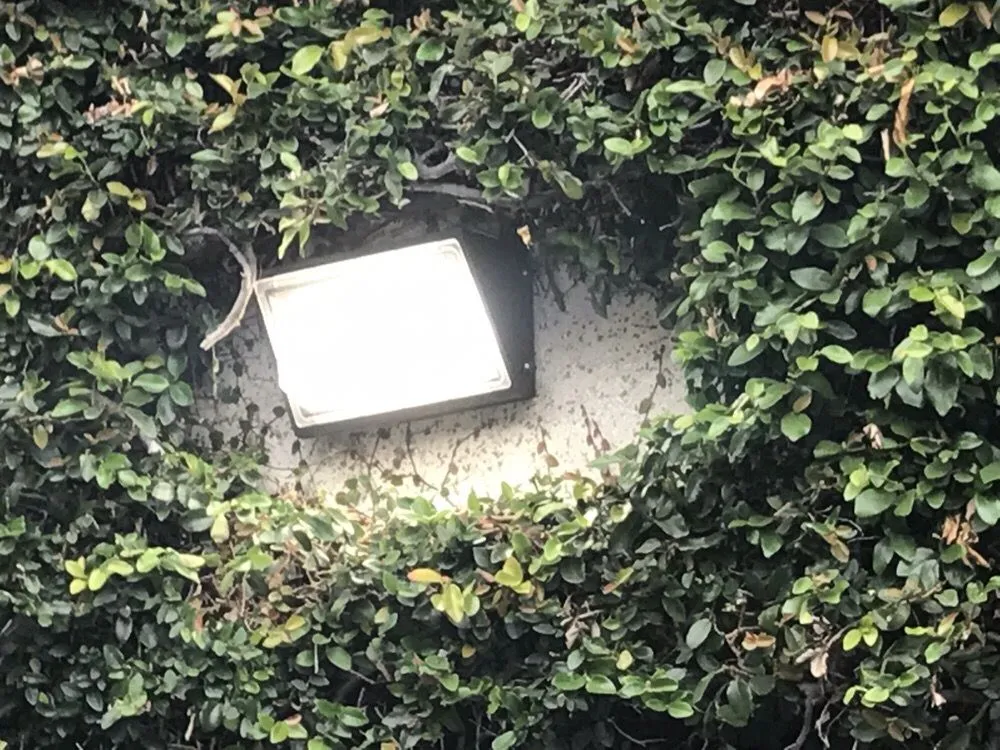 Slide of Eric Lockhart Electric