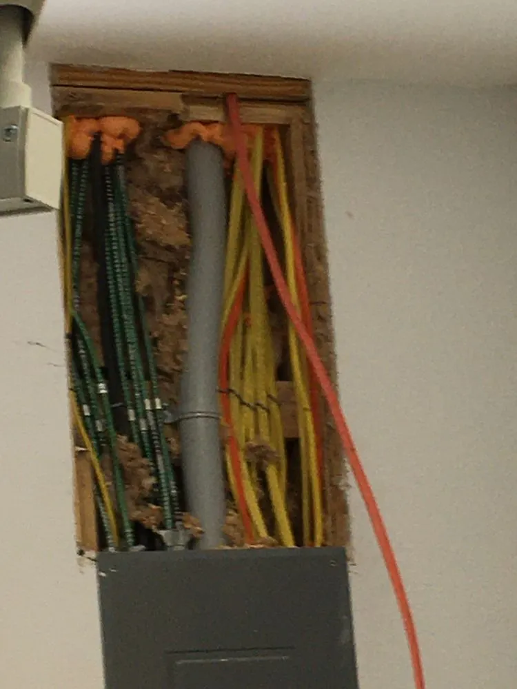 Slide of Eric Thomas Cross