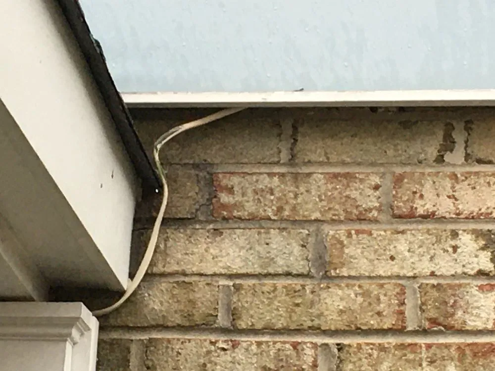 Slide of Eric Thomas Cross