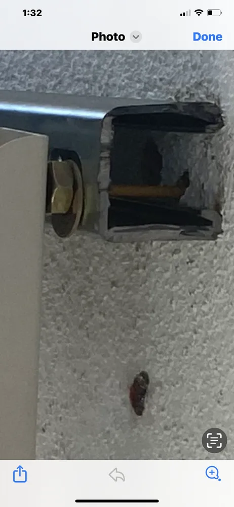 Slide of Erin Sons Electric