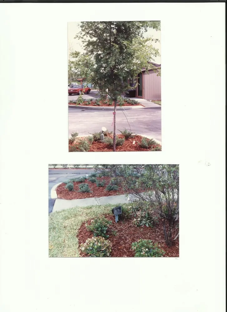 Slide of Estes Electric