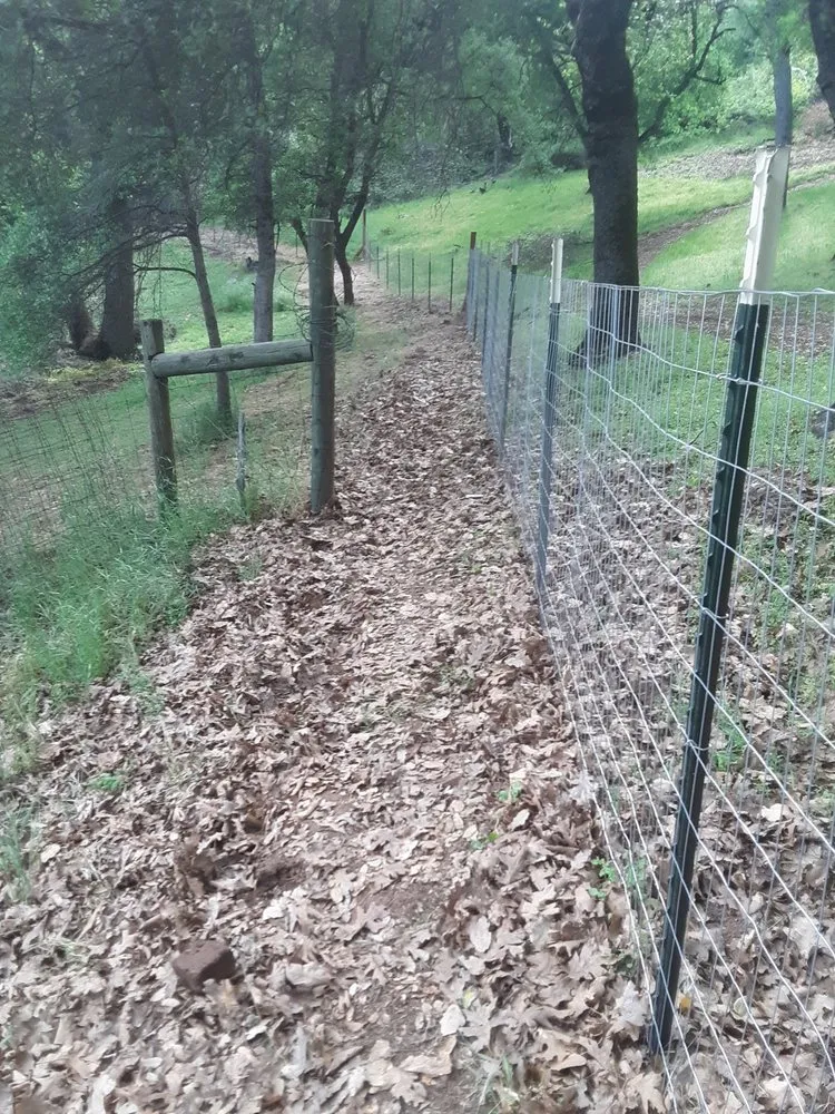 Slide of E.T. Electric