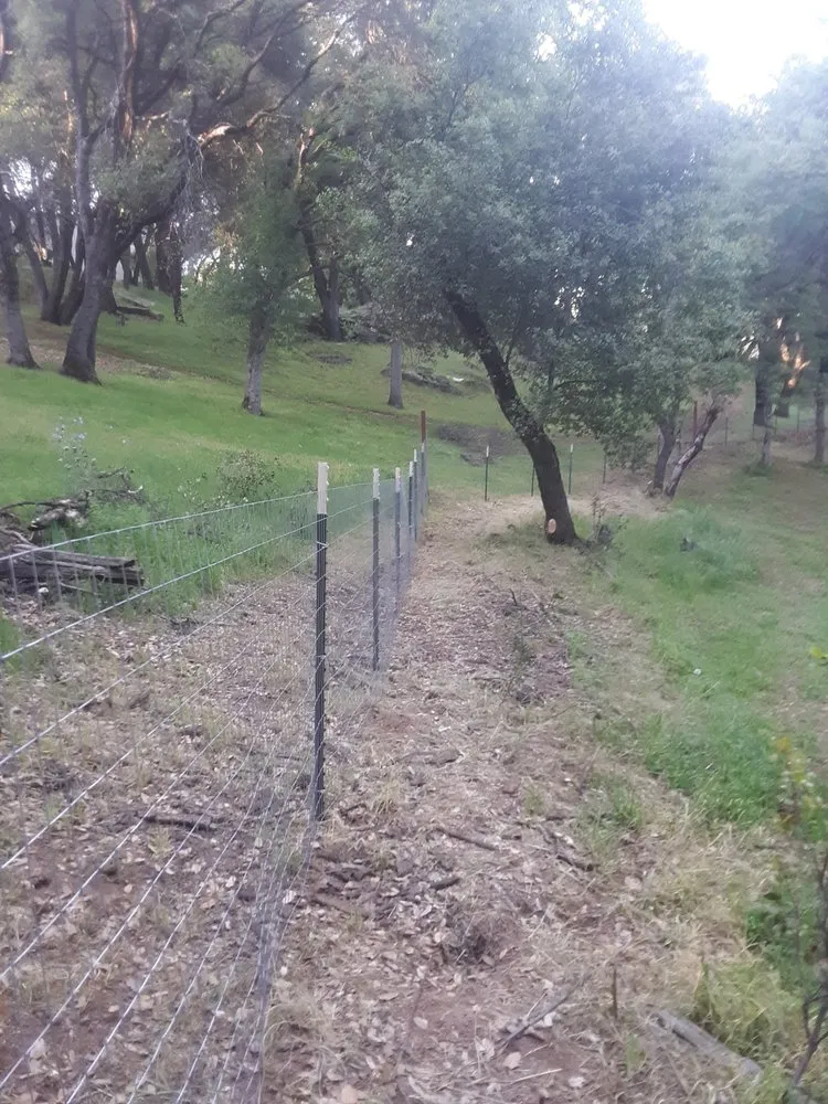 Slide of E.T. Electric