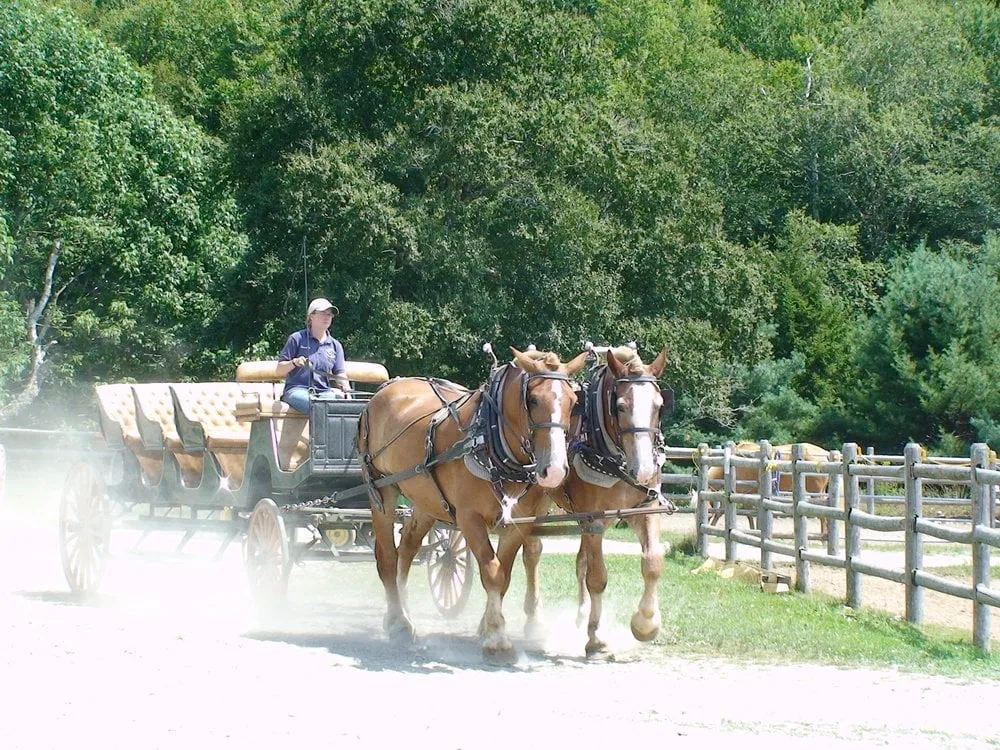 Slide of Ethan L Rodriguez Licensed Electrician