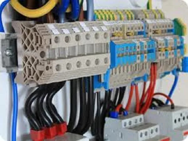 Slide of Ethan&Bob Electric