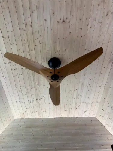 Slide of EV-Electric