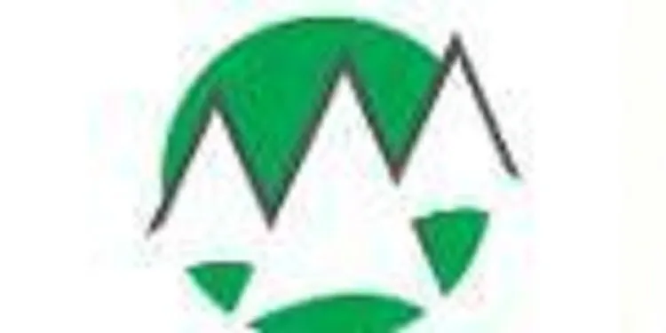 Slide of Evergreen Electric