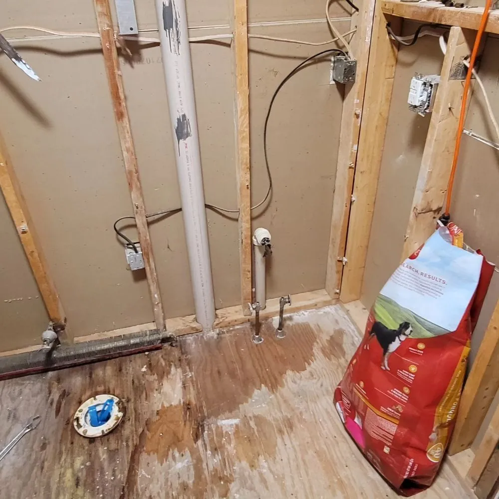 Slide of Evergreen Property Care