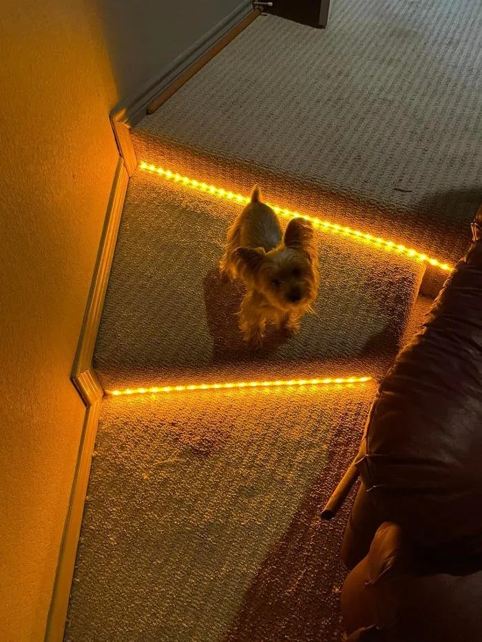 Slide of Everything Electric