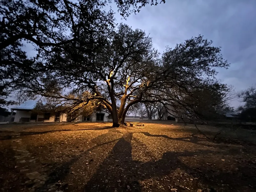 Slide of Eves Electric