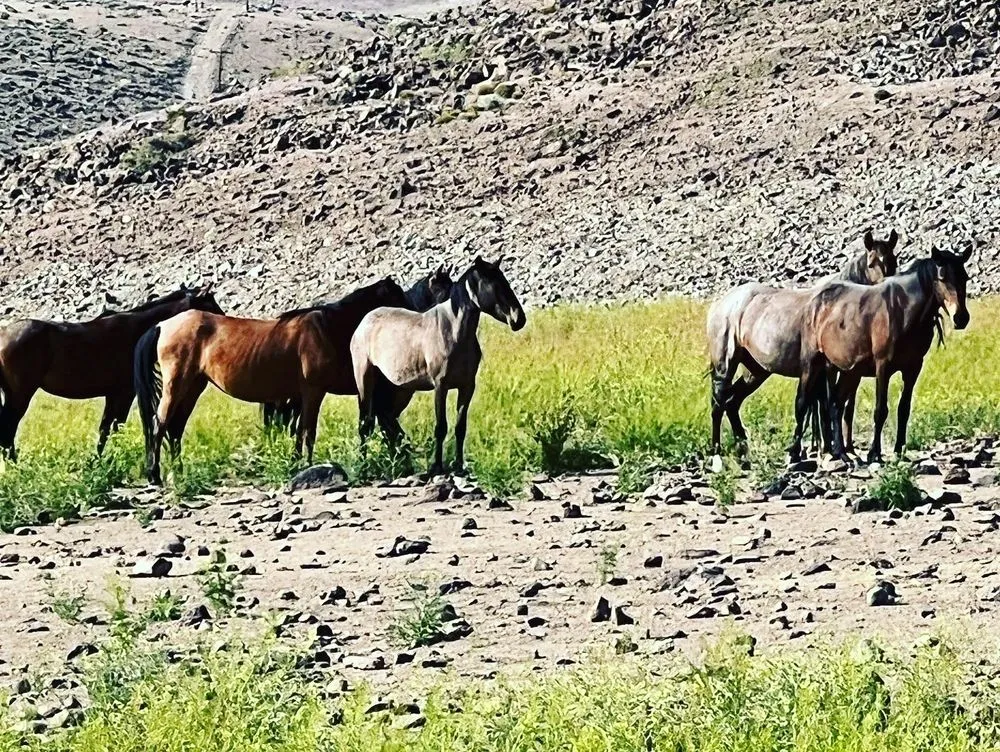 Slide of Evolution Electric