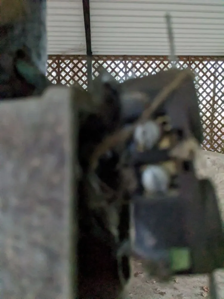 Slide of Evolution Electric