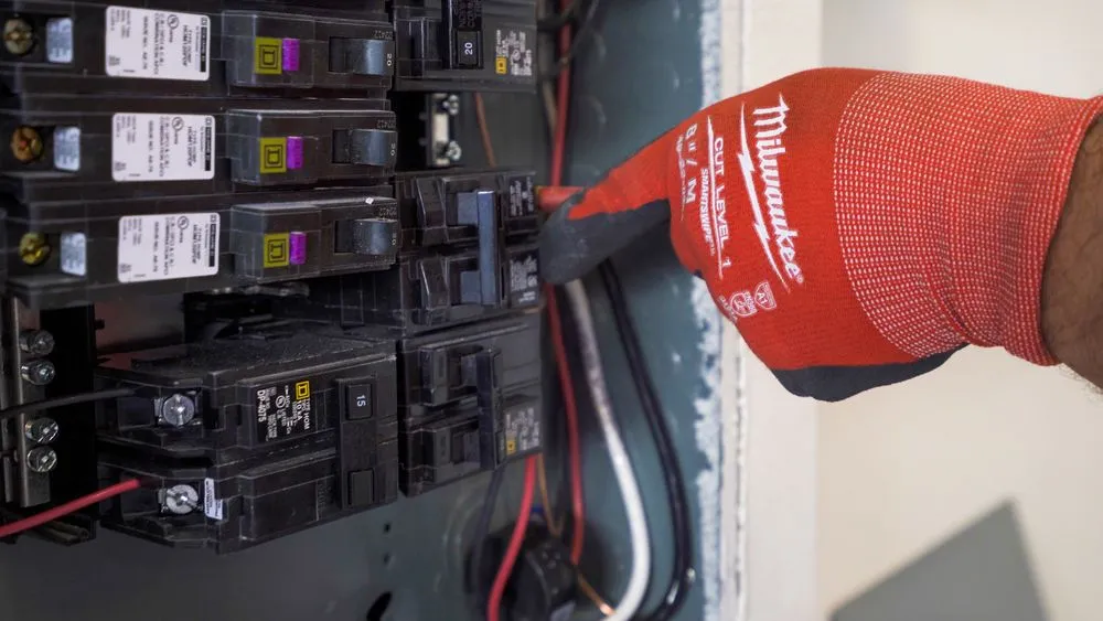 Slide of Evolution Electrical