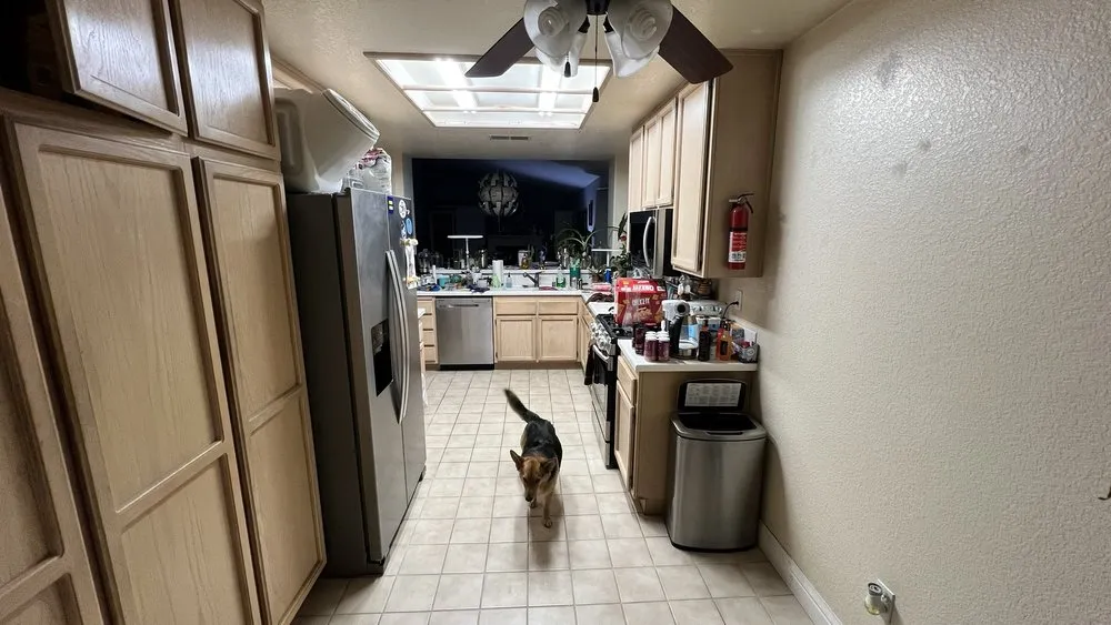 Slide of Evolution Electrical