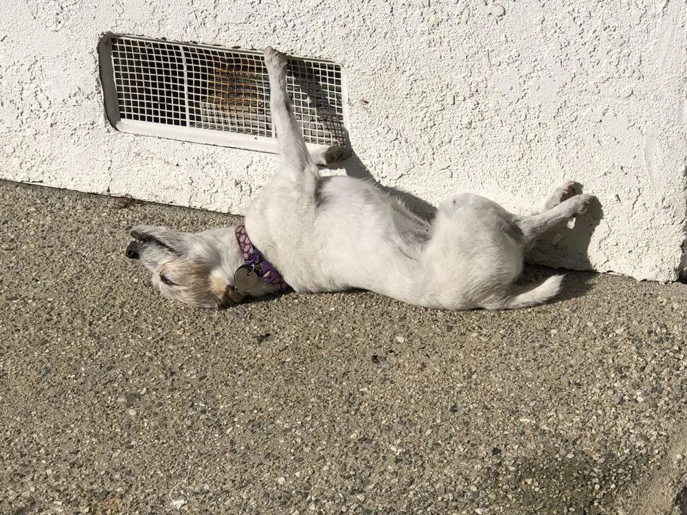 Emergency circuit breaker repair experts serving ,  - Excel Electric