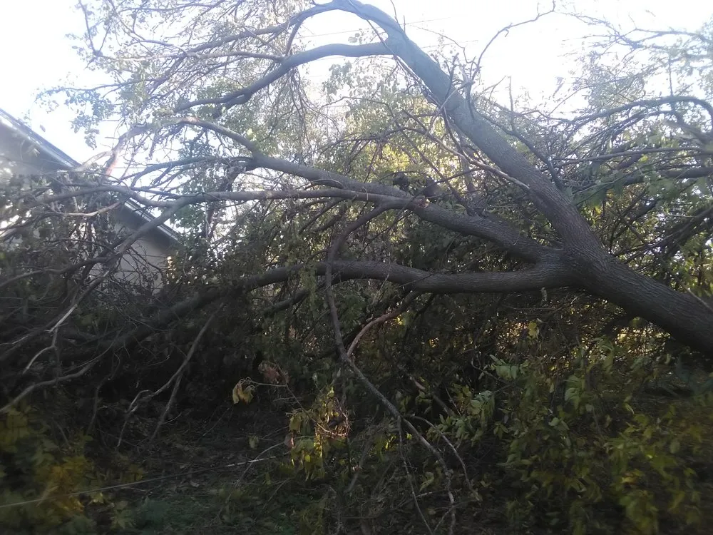 Slide of EXPERTech Electric