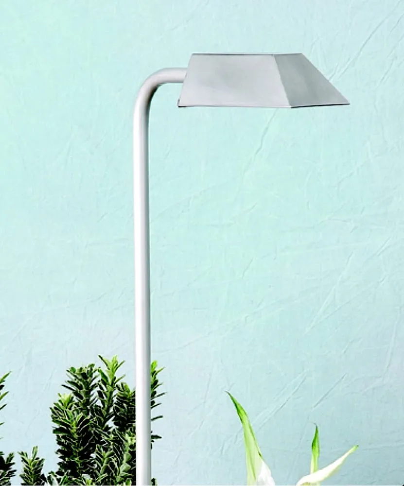 Slide of Express Electric