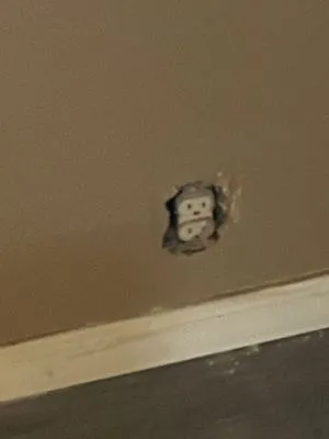 Express Electrical Service Logo