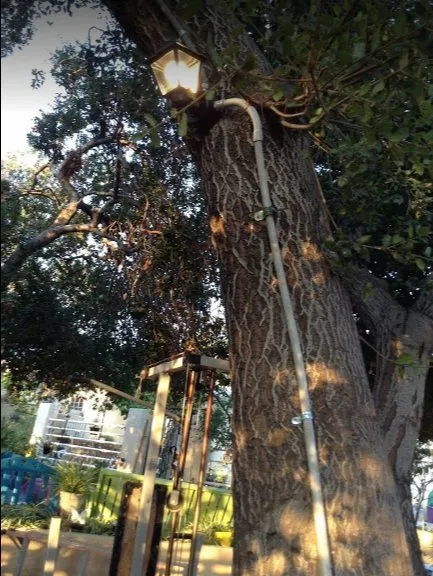 Slide of Express Electrical Services