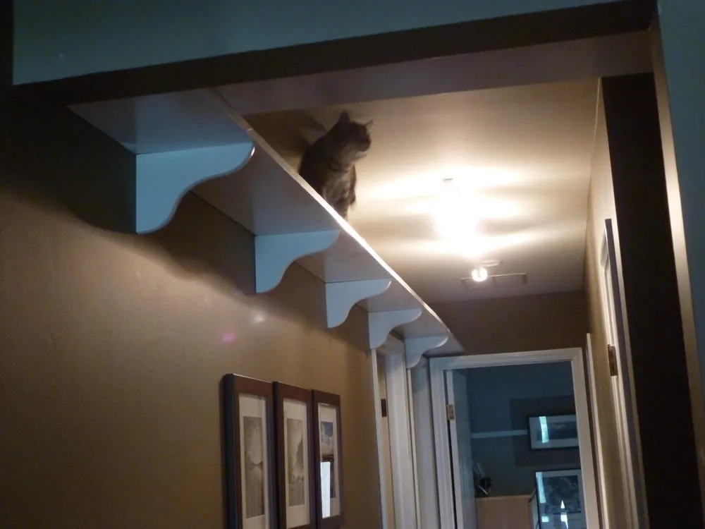 Slide of Express Home Repair Handymen Service