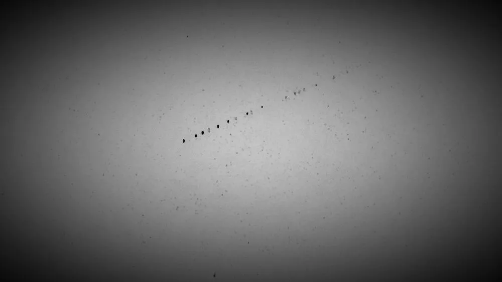 Slide of Exquisite Electrical