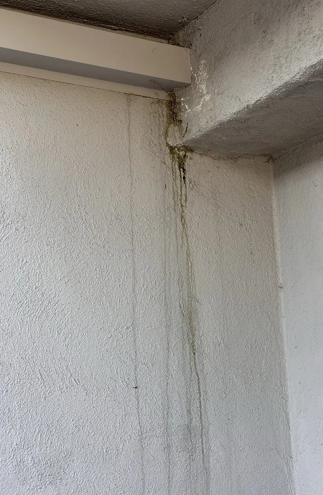 Slide of Exquisite Handyman Services