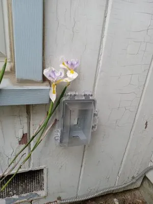 Extensive Electrical