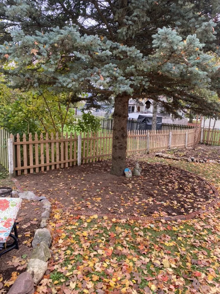 Trusted electrical repair in ,  by Extra Mile Mike