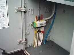 Slide of Extreme Electric