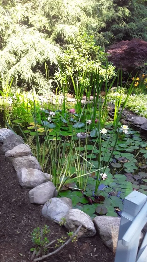 Slide of E/Z Landscaping and Contracting