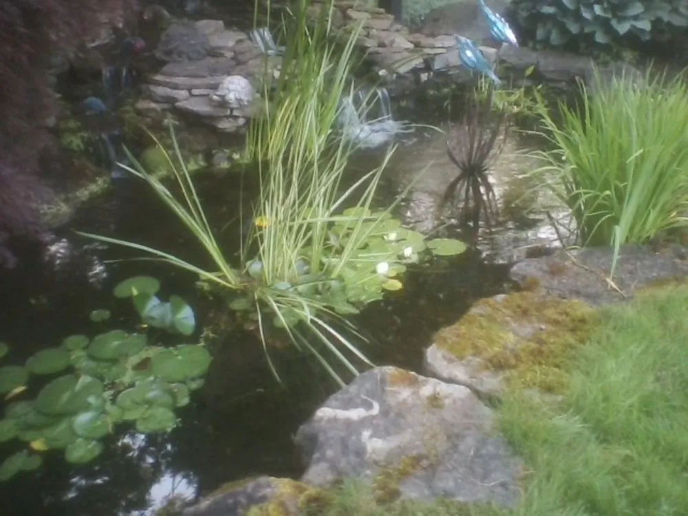 Slide of E/Z Landscaping and Contracting