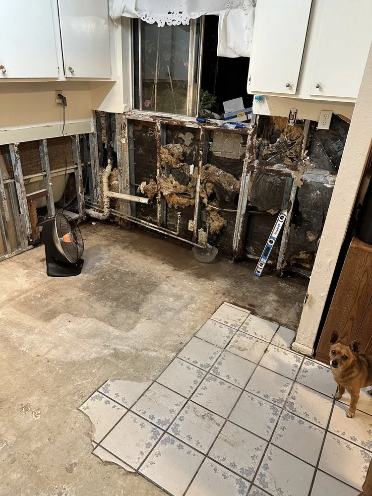 Slide of F J M Remodeling