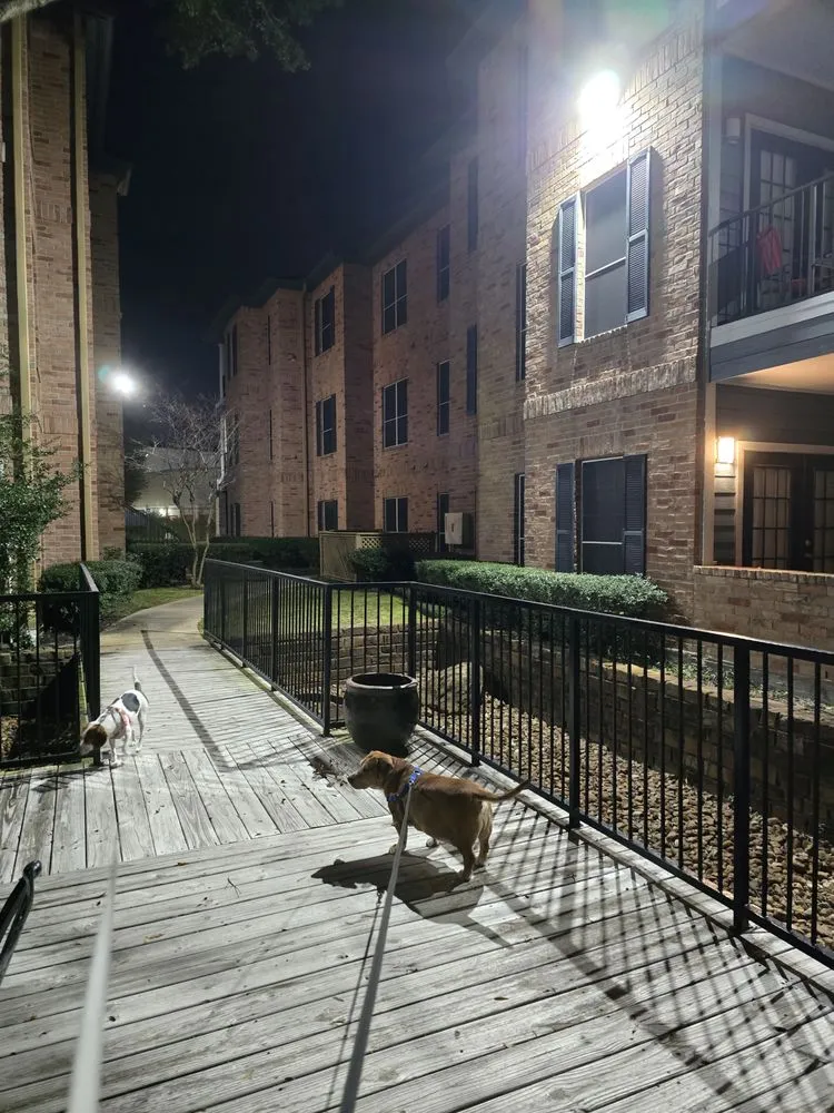 Slide of F L G. TEXAS ELECTRIC, INC.