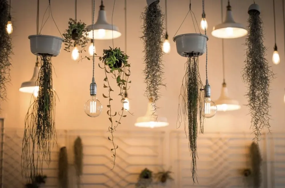 Slide of Fae Electrical Service