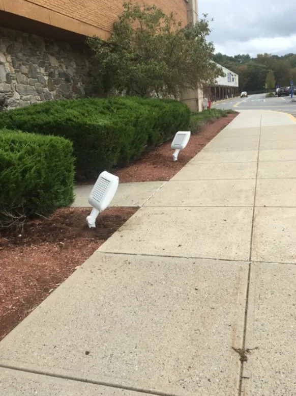 Slide of Faille Electric