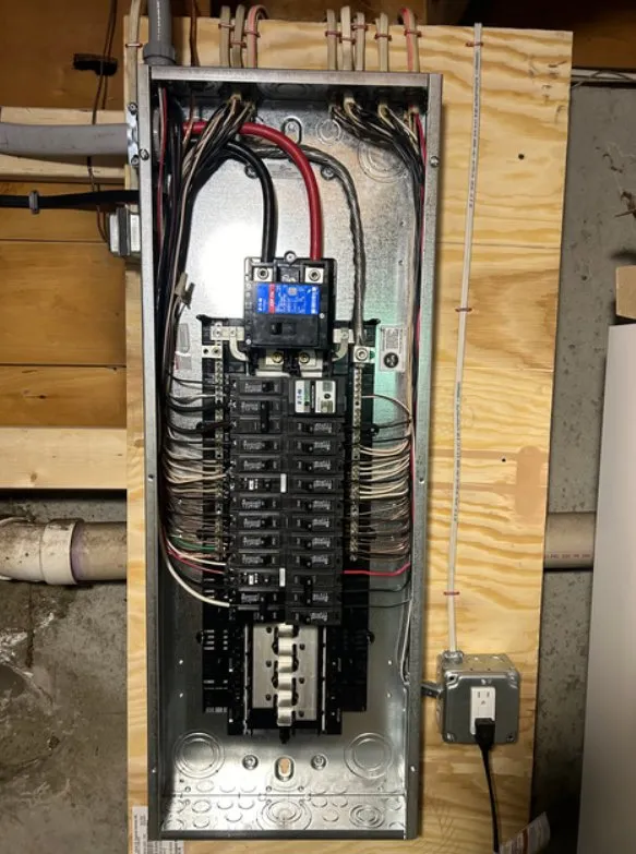 Slide of Faille Electric